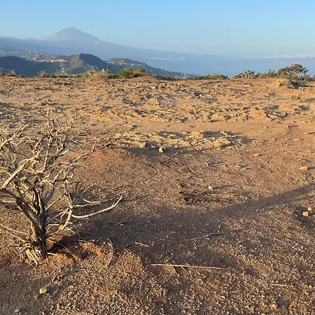 D-espacios Zotea Tegueste